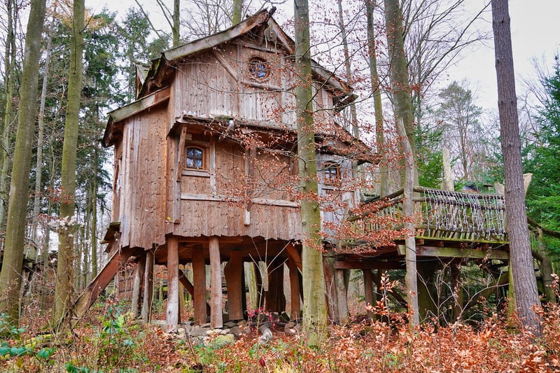Treehouse Hotels