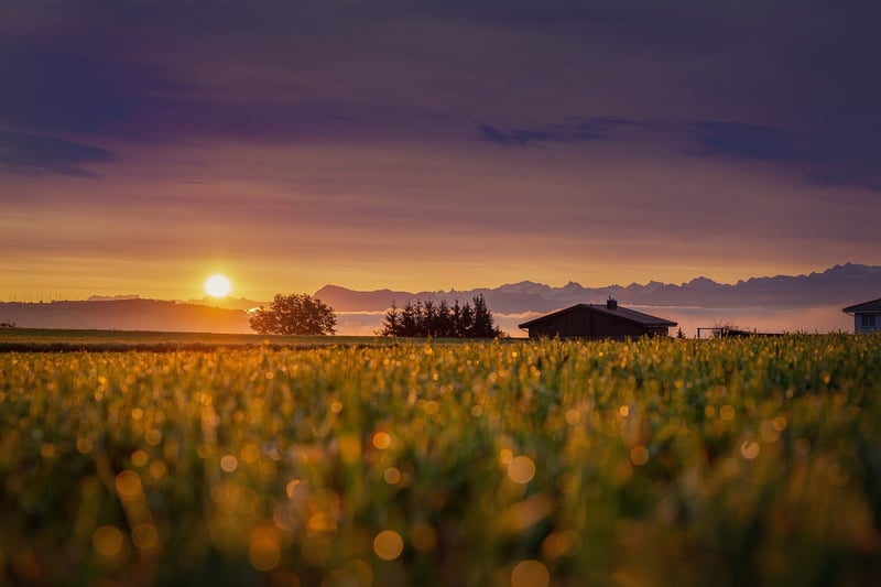 Sustainable Pod in Nature